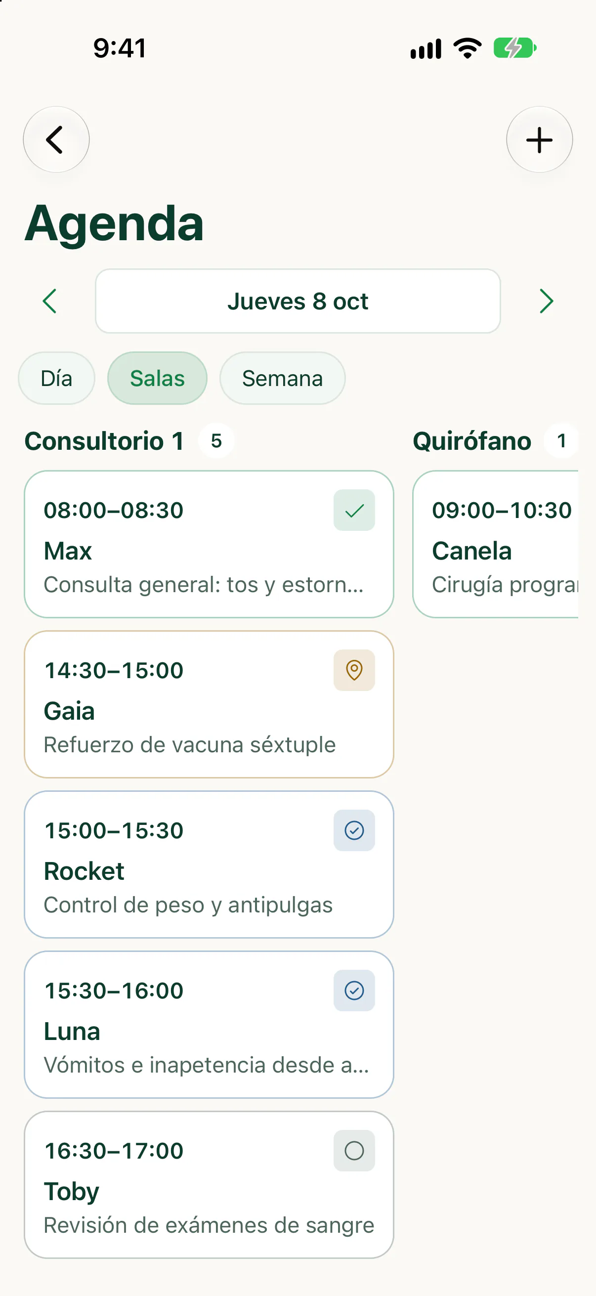 Agenda del día ordenada por sala en la app para teléfono